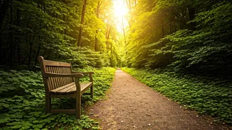 Unveiling Solitude: Why It Matters & How to Embrace It