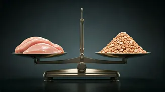 Protein Power or Calorie Trap? When Your Protein Intake Might Lead to Weight Gain