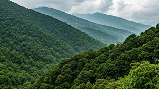Saputara Offers Rain Without Usual Hill Crowds