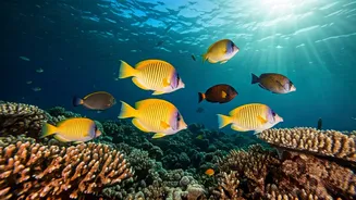 Unveiling the Colourful Wonders of the Ocean's 7 Fish