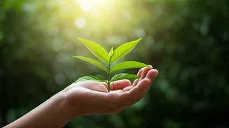 Emotional Wellbeing: Guiding Your Child