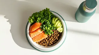 Dog Food Is Getting A Fitness-Influencer Makeover