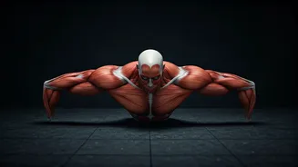 How Push Pull Legs Builds A Strong Foundation