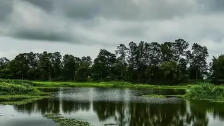 Monsoon Is The Perfect Time To Experience Assam's Green Side