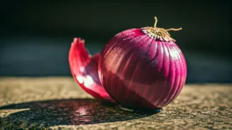 Beat the Heat: Jyotiraditya Scindia's Onion Trick and Staying Cool in India's Scorching Summers