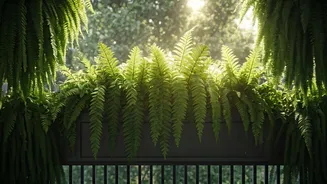 Ferns Make Small Balconies Feel Like Forests