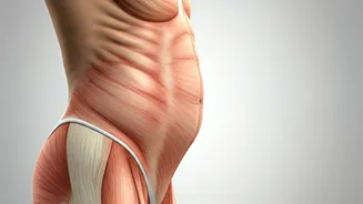 Beyond Fat: Unlocking the Secret to a Stubborn Lower Belly Pooch