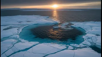 Missing Sea Ice Is More Than Polar News