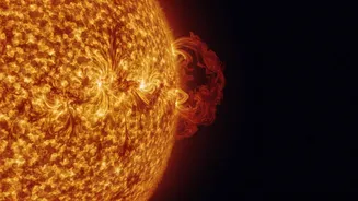 What NASA's Sharpest Visible-Light Sun Image Shows About City-Sized Plasma Swirls