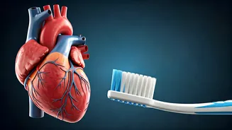 Don't Skip Night Brushing: Your Heart's Health Linked to Oral Hygiene!