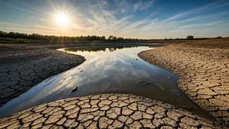 Madhya Pradesh Water Crisis: A Tragedy Unfolds