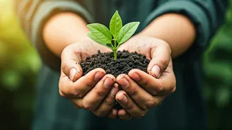 Monsoon Plant Parents Should Touch Soil First
