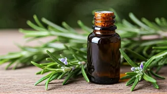 Rosemary Oil: Grow Hair and Heal Scalp