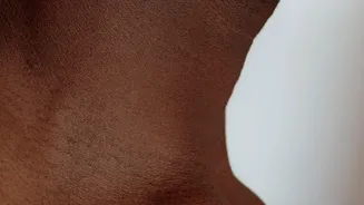An Itch Diary Can Record Timing, Body Area and Possible Triggers