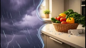 Young Professionals Should Link Weather News With Kitchen Spending Patterns