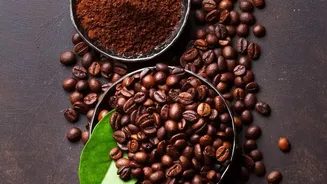 Shift To Specialty Coffee: Young Enthusiasts Embrace South Indian Single-Origin Estate Roasts