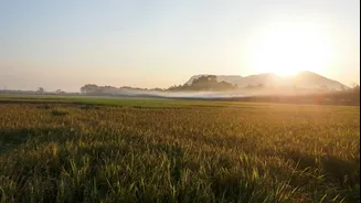 High Humidity in Assam Challenges India's Heatwave Criteria