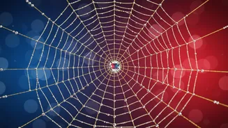 Hindi Audiences Turn Spider-Man's India Opening Into a National Box-Office Story