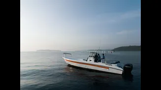How to Plan a Game Fishing Adventure in the Andaman Islands