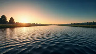 Mooji's Wisdom: Let Go of Overthinking and Embrace Life's Natural Flow