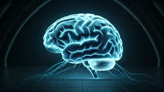 Unlock a Younger Brain: The Simple Exercise Habit That Rewinds Your Brain Age