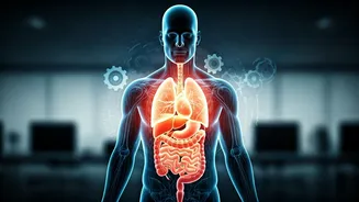 India's Silent Health Crisis: How Lifestyle Diseases Are Eroding Workplace Productivity