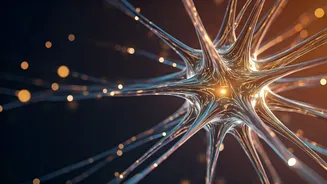 Unraveling the Mystery: What is the Human Mind and How Does it Work?