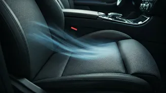 Beat the Indian Heat: 5 Budget-Friendly Cars with Ventilated Seats