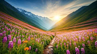 Valley Of Flowers Needs Responsible Trekking Energy