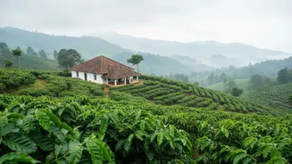 Monsoon Tourism In Coorg Thrives As Slow Travellers Book Quiet Stays On Historic Coffee Plantations