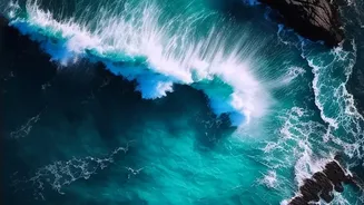 Why A 21.1C Global Ocean Record Matters Beyond The Sea