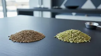 Rajasthan Farmers Challenge GI Tags for Gujarat's Unjha Cumin and Fennel