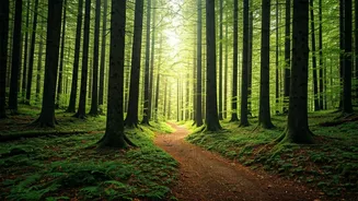 Climate-Aware Travel Is Not Niche Anymore