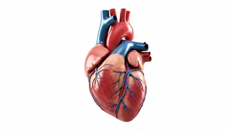 7 Ways to Naturally Lower Blood Pressure: A Doctor's Guide