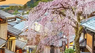 Swap Tourist Hotspots for These Understated Japanese Destinations