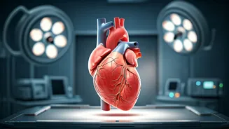 Essential Heart Health Tips for a Healthy Life