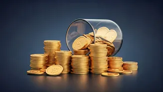 Shadowfax Logistics Eyes IPO: A Deep Dive