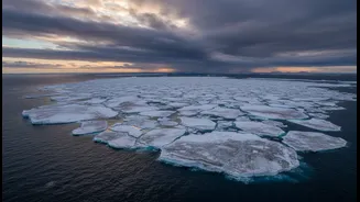 Missing Sea Ice Around Antarctica Raises Fresh Questions