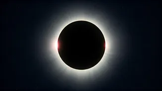Gear Up: Your 2026 Solar Eclipse Essentials!