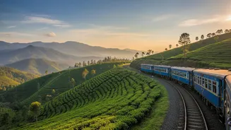 How To Experience Sri Lanka Famous Kandy To Ella Train On Budget