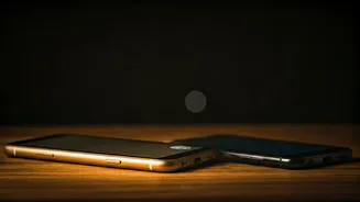 Unlikely Bonds: Trump & Mamdani's Texting Tale