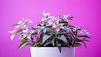 Flowering Plants Are Becoming A Simple Way To Add Seasonal Colour To Urban Homes