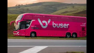 Em novo capítulo, STF libera Buser no Paraná após dois anos de proibição