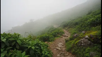 Slow Travel Is Helping Visitors Enjoy India's Rainy Hill Destinations