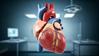 Is Calcium Bad For Your Heart?
