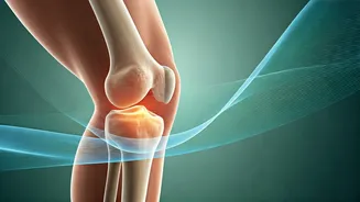 Related Stories banner