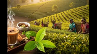 International Tea Day 2026: Theme, History, Health Benefits And Indian Chai Traditions