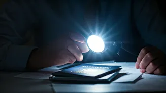 Fatemeh Larijani's Immigration Status: A US Review