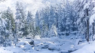 Kashmir aims to draw paragliding tourists.