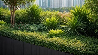 More Urban Indians Are Turning Terraces Into Mini Forests